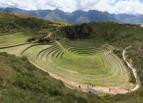 MARAS Y MORAY